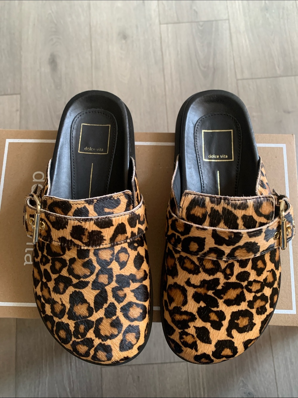 Dolce Vita Leopard-Print Buckle Mules - Brown/Black